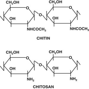 Mode of action chitosan biopolymer complex