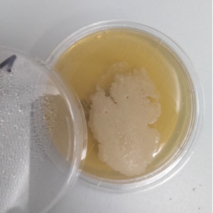 Chalk mold with EtOH